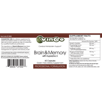 Brain & Memory by Vinco