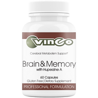 Brain & Memory by Vinco